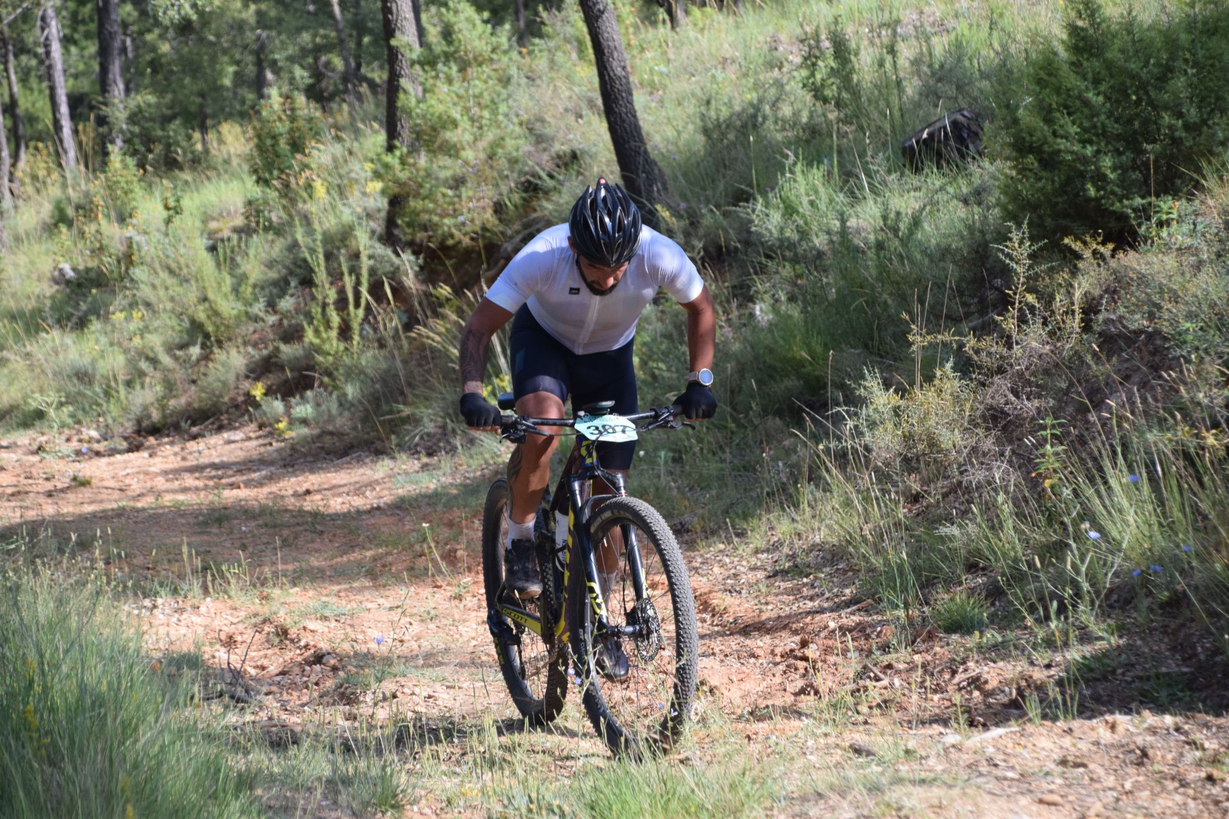 DSC_0446.jpg