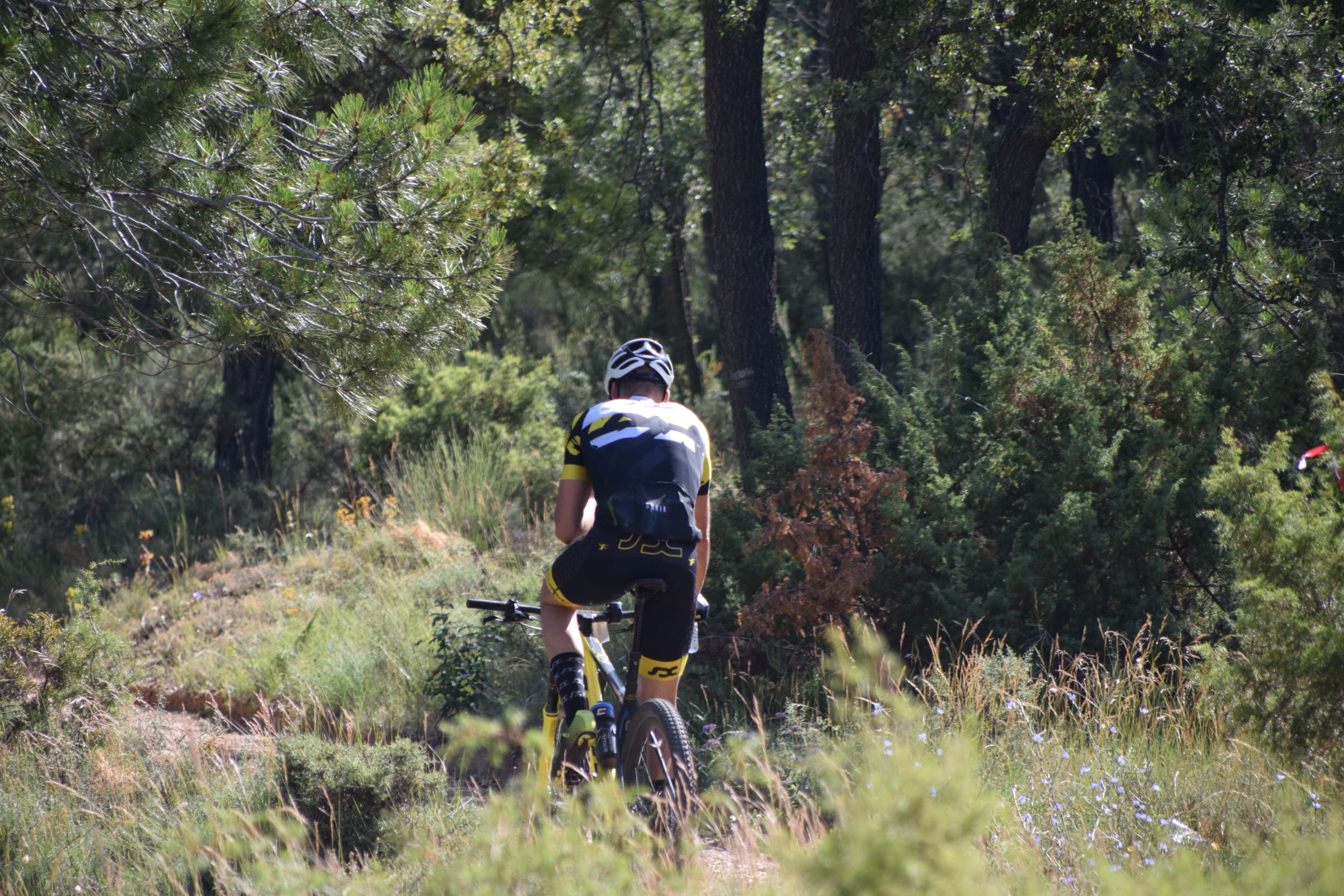 DSC_0506.jpg